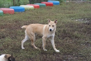 Fred