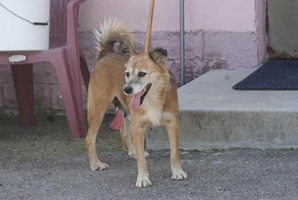 Frieda