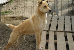 Fred