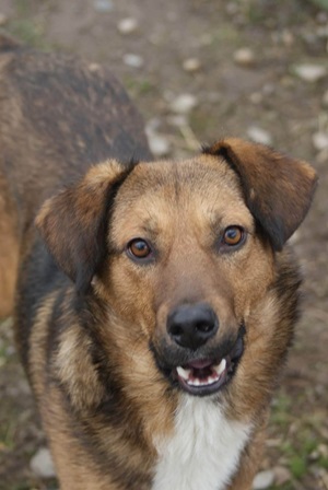 Boris