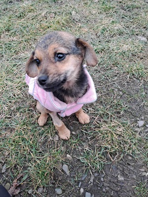 Coco