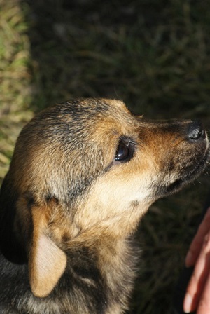 Coco