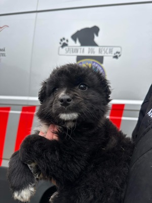 Kira