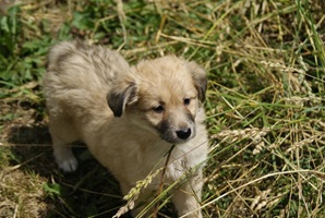 Zoe