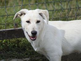 Roxy