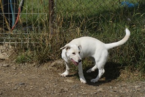 Roxy