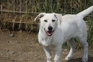 Roxy