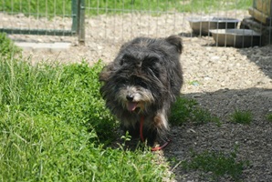 Marcel