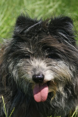 Marcel