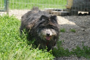 Marcel