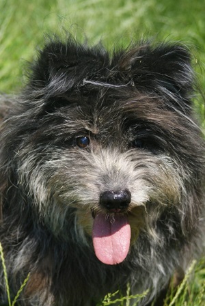 Marcel