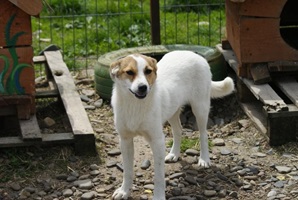 Lola