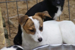 Wilma