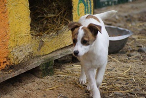 Wilma