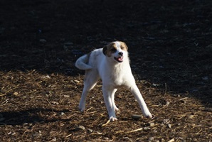 Wilma