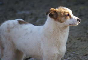 Wilma