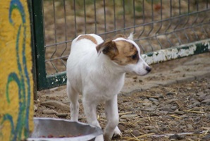 Wilma