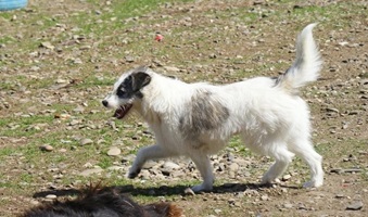 Sabrina